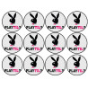 Playtil (12 fois 5cm) - Sticker/autocollant