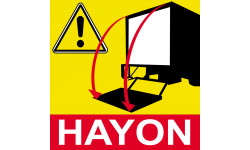 Hayon - 20cm - Sticker/autocollant