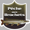 Pêche aux Brochets - 5x5cm - Sticker/autocollant