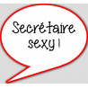 Secrétaire sexy - 15x13.5cm - sticker/autocollant