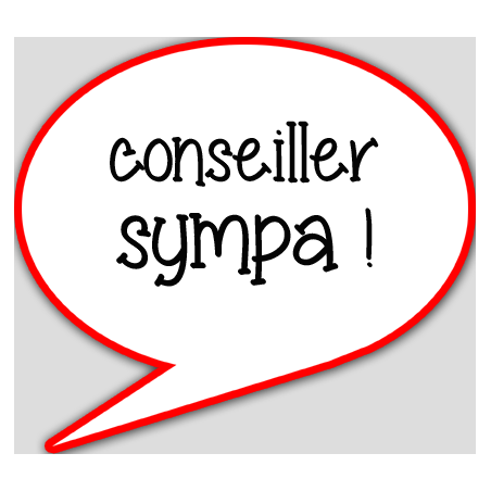 conseiller sympa - 15x13.5cm - sticker/autocollant