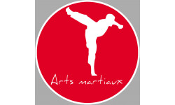 Arts martiaux karaté - 15cm - Sticker/autocollant