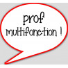 prof multifonction - 10x9cm - sticker/autocollant