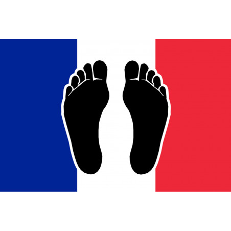 Pieds noirs drapeau Français - 5x3.3cm - Sticker/autocollant