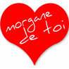 morgane de toi - 20x18cm - Sticker/autocollant