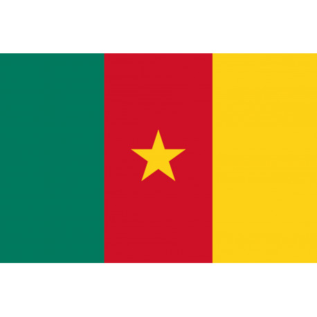 Drapeau Cameroun - 19.5 x 13 cm - Sticker/autocollant