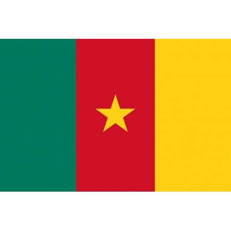 Drapeau Cameroun - 19.5 x 13 cm - Sticker/autocollant