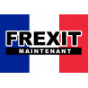 FREXIT - 29x19cm - Sticker/autocollant