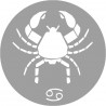 signe zodiaque scorpion rond - 8cm - Sticker/autocollant