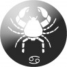 signe du zodiaque scorpion rond - 10cm - Sticker/autocollant