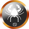 signe du zodiaque scorpion rond doré - 5cm - Sticker/autocollant