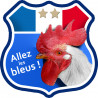 Allez les bleus deux étoiles ! - 15x15cm - Sticker/autocollant