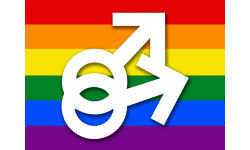 DRAPEAU LGBT gay  - 29x21.5cm - Sticker/autocollant