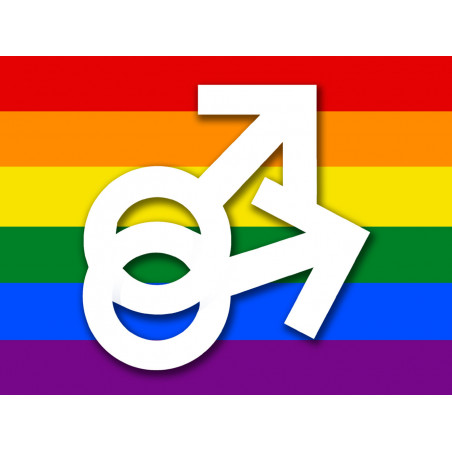 DRAPEAU LGBT gay  - 15x11cm - Sticker/autocollant