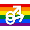 DRAPEAU LGBT gay  - 15x11cm - Sticker/autocollant