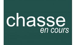 chasse en cours vert - 29x19.3cm - Sticker/autocollant