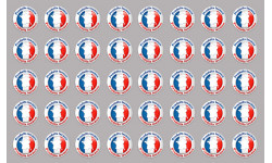 Produits Locaux (40 fois 2cm) - Sticker/autocollant