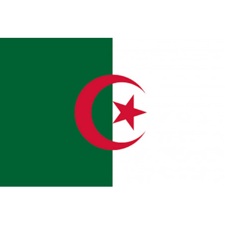 Drapeau Algérie (19.5x13cm) - Sticker/autocollant