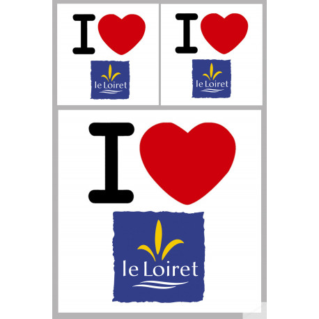 Département 45 le Loiret (1fois 10cm / 2 fois 5cm) - Sticker/autocollant