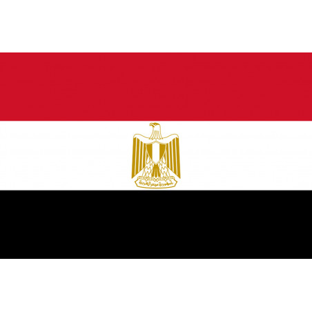 Drapeau Egypte (19.5x13cm) - Sticker/autocollant