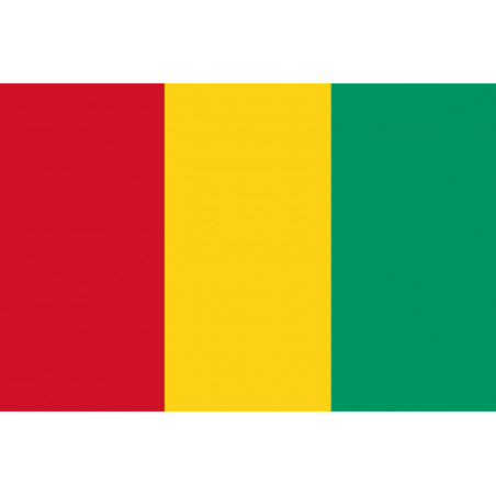 Drapeau Guinée (19.5x13cm) - Sticker/autocollant