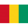 Drapeau Guinée (19.5x13cm) - Sticker/autocollant