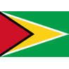 Drapeau Guyana - (15x10cm) - Sticker/autocollant