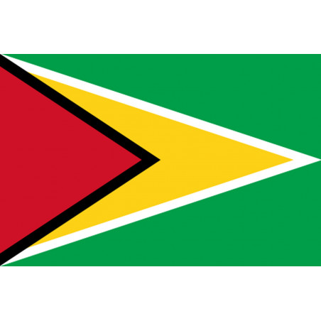 Drapeau Guyana - (5x3.3cm) - Sticker/autocollant