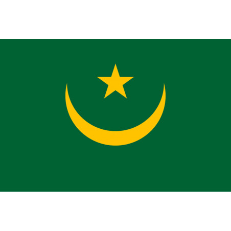 Drapeau Mauritanie (5x3.3cm) - Sticker/autocollant