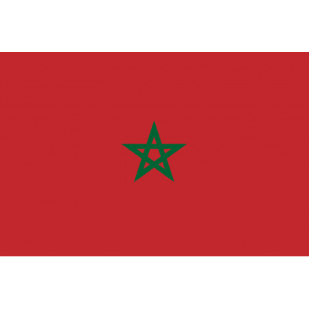 Drapeau Maroc (19.5x13cm) - Sticker/autocollant