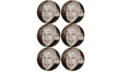 Albert Einstein (6 fois 9cm) - Sticker/autocollant