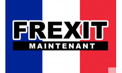 FREXIT - 5x3,3cm - Sticker/autocollant