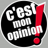 c'est mon opinion (15x15cm) - Sticker/autocollant