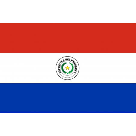 Drapeau Paraguay (19.5x13cm) - Sticker/autocollant