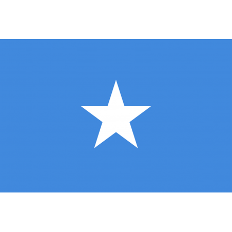 Drapeau Somalie (15 x 10 cm) - Sticker/autocollant