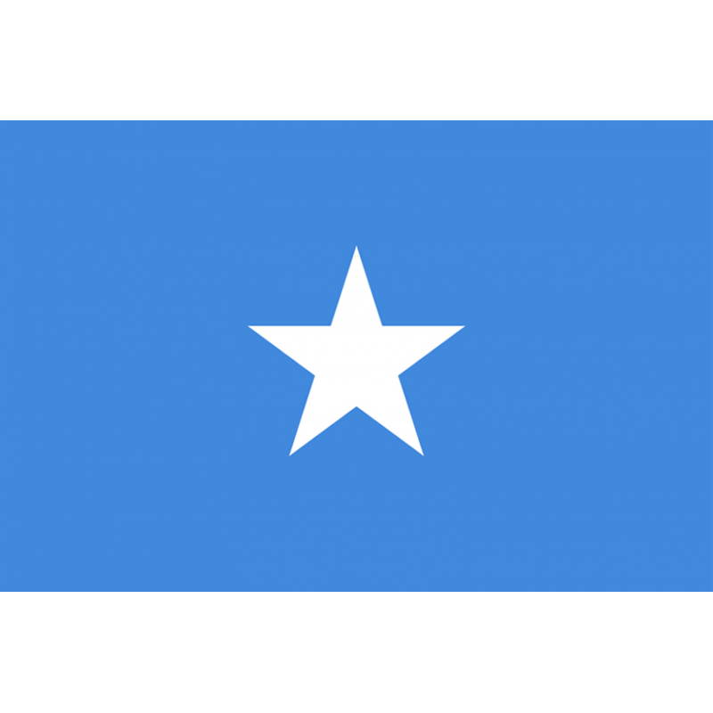 Drapeau Somalie (19.5 x 13 cm) - Sticker/autocollant