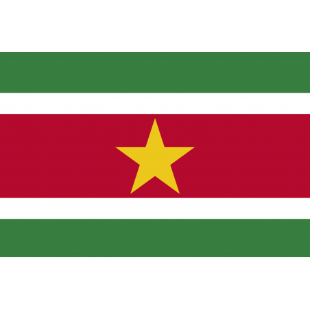 Drapeau Suriname (19.5 x 13 cm) - Sticker/autocollant