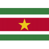 Drapeau Suriname (19.5 x 13 cm) - Sticker/autocollant