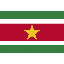 Drapeau Suriname (5 x 3.3 cm) - Sticker/autocollant