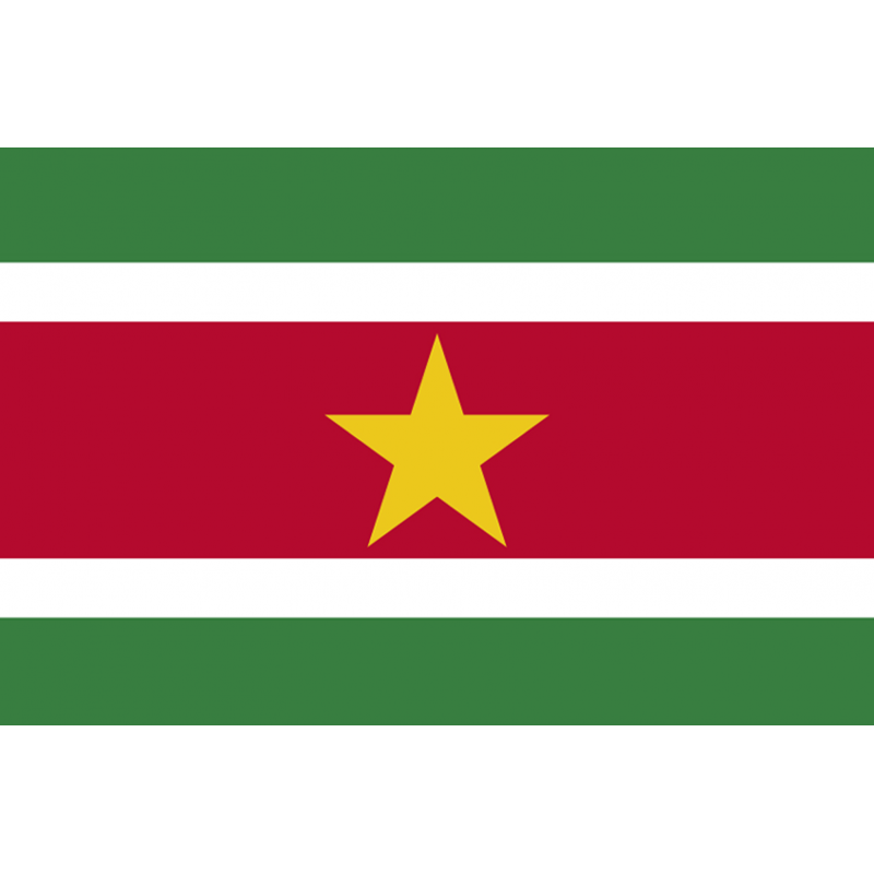 Drapeau Suriname (5 x 3.3 cm) - Sticker/autocollant