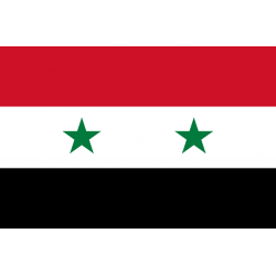 Drapeau Syrie (19.5 x 13 cm) - Sticker/autocollant