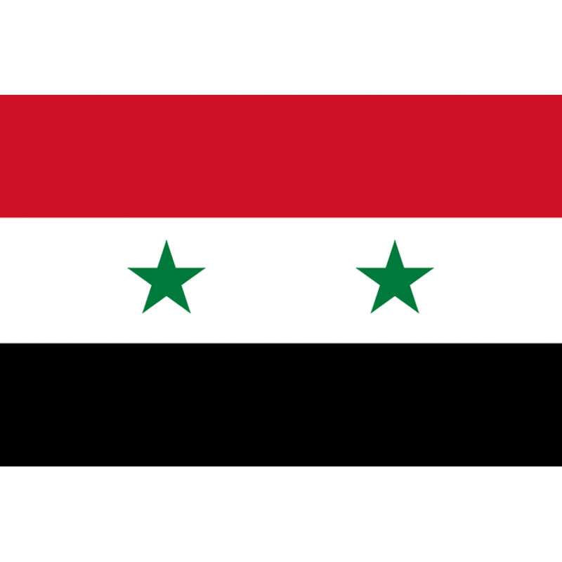 Drapeau Syrie (19.5 x 13 cm) - Sticker/autocollant