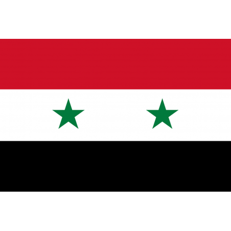 Drapeau Syrie (19.5 x 13 cm) - Sticker/autocollant