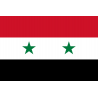 Drapeau Syrie (19.5 x 13 cm) - Sticker/autocollant