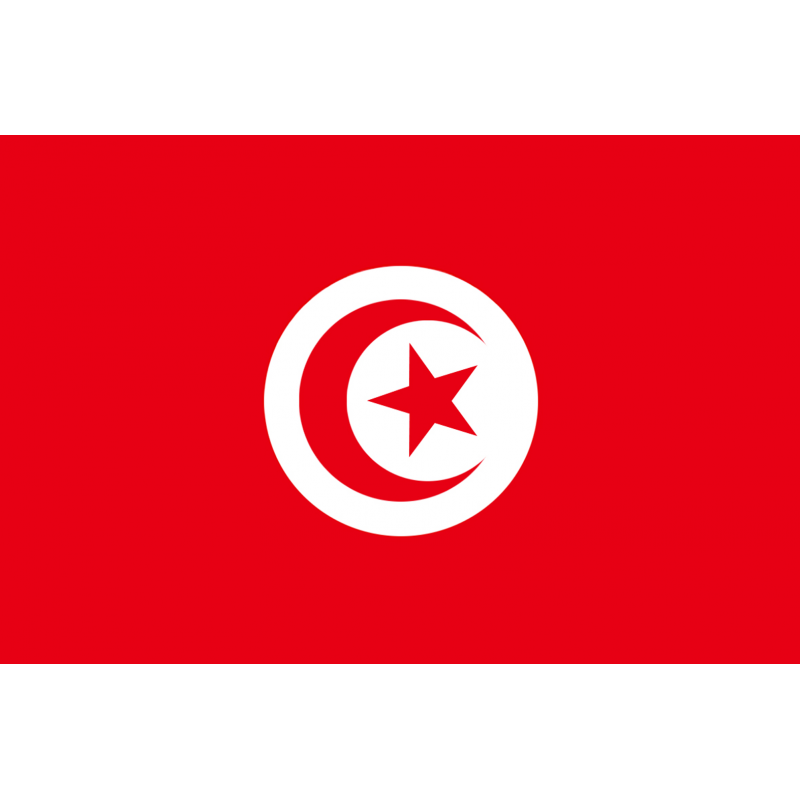 Drapeau Tunisie (19.5 x 13 cm) - Sticker/autocollant