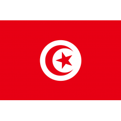 Drapeau Tunisie (5 x 3.3 cm) - Sticker/autocollant