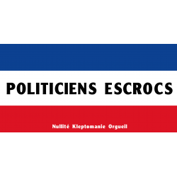 Politiciens escrocs (10x4cm) - Sticker/autocollant