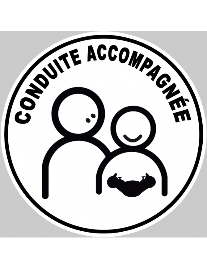 conduite accompagnée gamer - 15cm - Sticker/autocollant