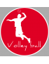 Volley ball - 20cm - Sticker/autocollant