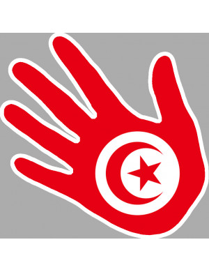 Drapeau main Tunisie - 10x10cm - Sticker/autocollant